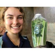  HALF CELERY IN BAG LEVIN Grown